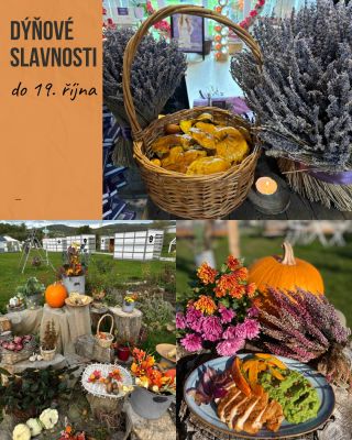 Dýňové slavnosti v restauraci Na Louce umístěné v srdci Levandulového údolí vaříme podle rytmu českého a slovanského...