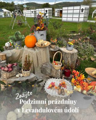 Zažijte prázdniny jinak – v klidu a kráse Levandulového údolí! Příroda, tvoření, dobroty a kouzlo babího léta na jednom...