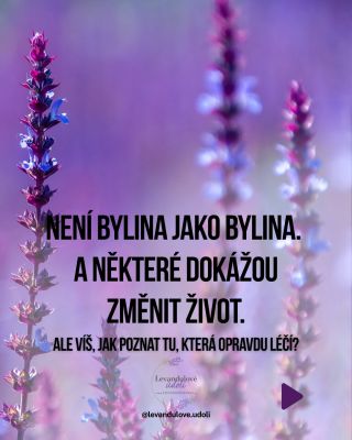 Cítíš únavu, vyčerpání nebo dlouhodobý stres… a nevíš proč? Odpovědi najdeš 👆 ⭐ Ulož si tento carousel (je to malá...